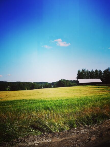 Aurinkoinen peltomaisema