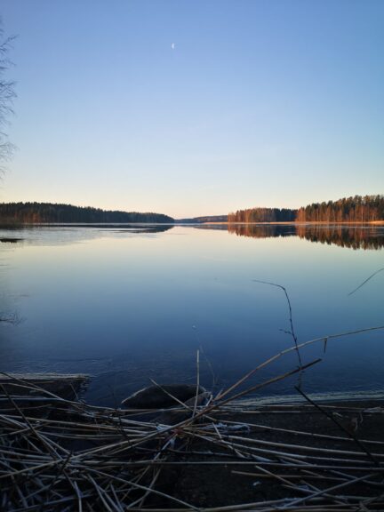 Kesäinen järvimaisema