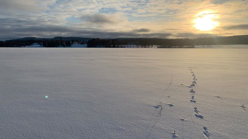 Talvinen järvimaisema Päijänteeltä