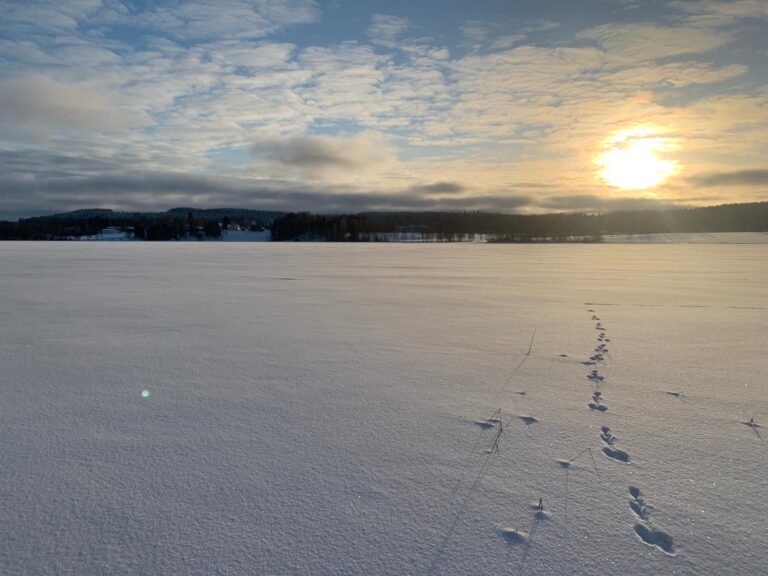 Talvinen järvimaisema Juokslahdelta